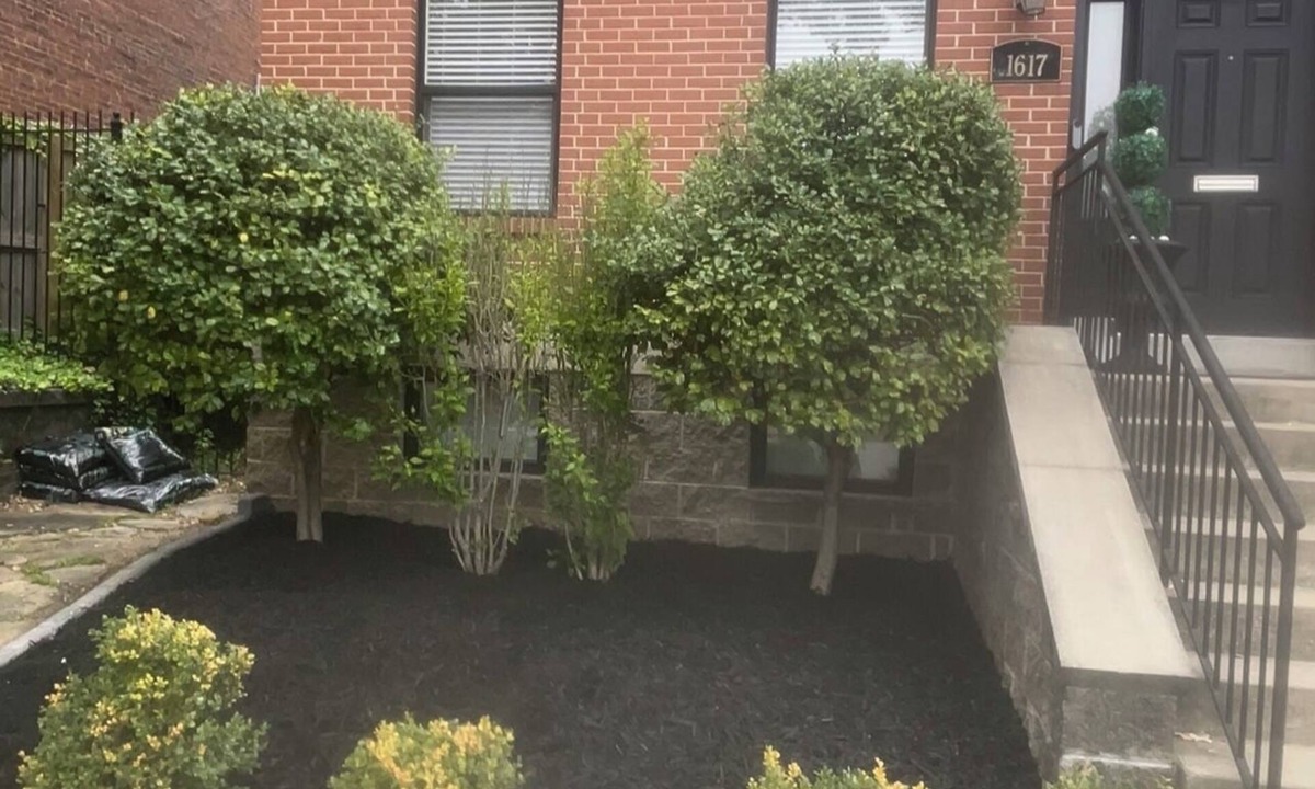LaSalle Park House | Ma Maison Soulard PRIME Location!