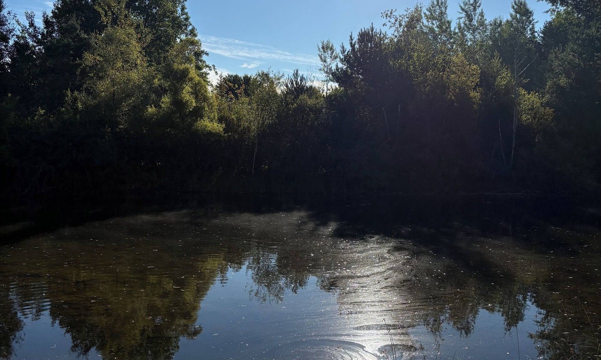 Marion House | Private pond where memories are made!