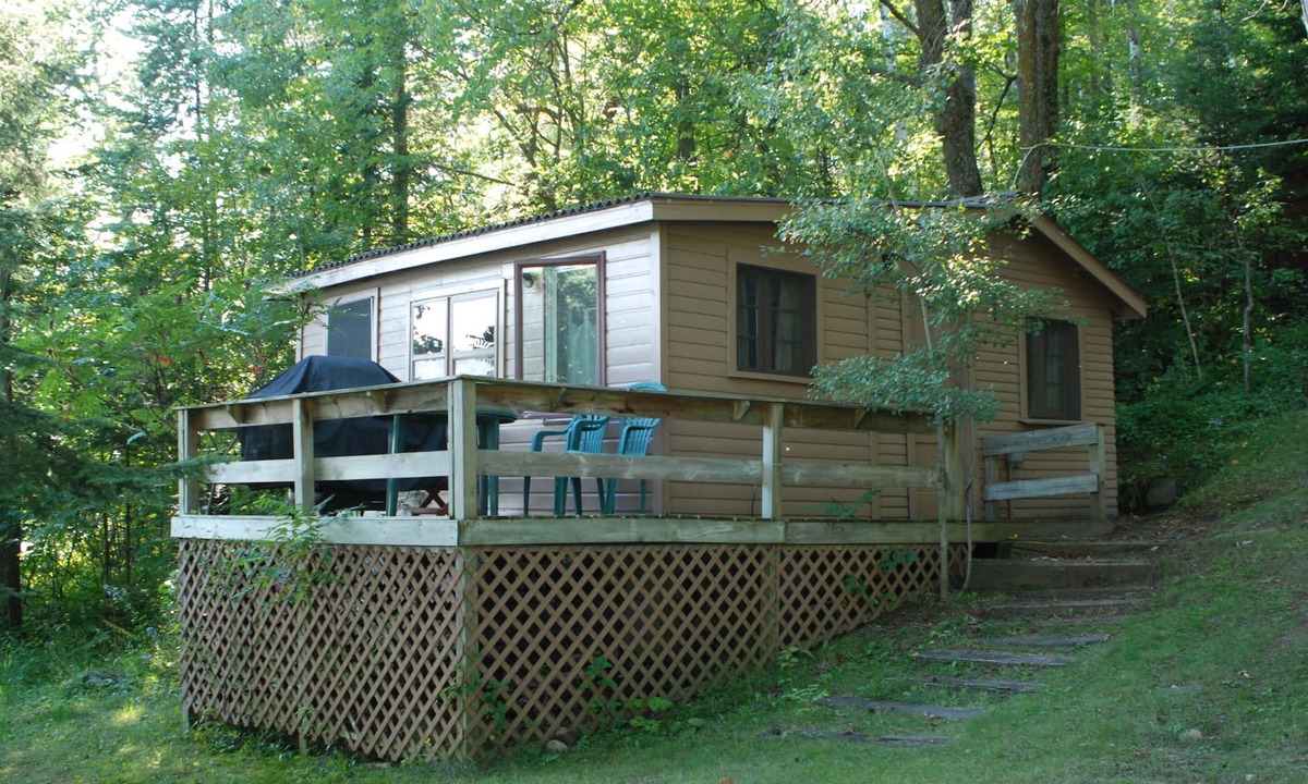 Nevis Cabin | Studio Cabin Hidden in Towering Pines within 10 feet of lake. Pets accepted!