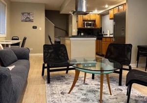 Designer Themed 4 Bedroom in Best Location with Patio and Fireplace in Chicago