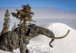 Mountain Getaway with a Shared Outdoor Pool, Hot Tub and Nature Views in Mammoth Lakes