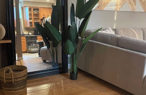 Soulard House | 3-bedroom house in charming St. Louis historic district Free shuttle to games