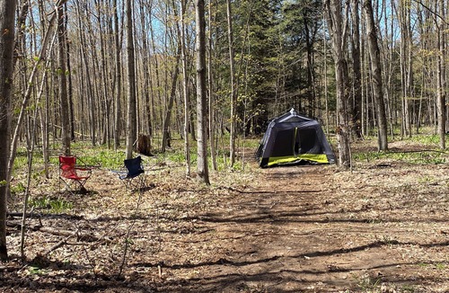 Beulah RV Rental | #3 Private Wooded Campsite for Tents or Small RV's