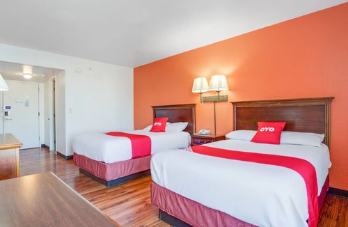 Muskegon Heights Hotel | 4 Pet-Friendly Lodgings Near Muskegon Dog Beaches – Relax with Your Pup