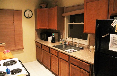 Mesick Cabin | Bright stars, peaceful nights, and pets welcome—your Northern Michigan retreat ,