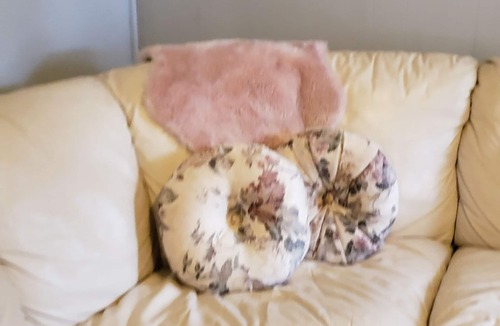 Mount Clemens House | Bright, upper flat large bedroom, large closet & sitting area
