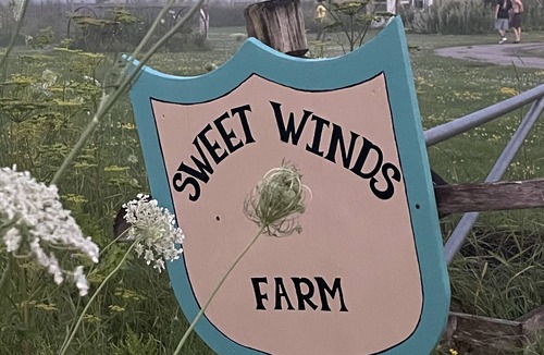 Hessel House | Charming Farm Retreat. Near Les Cheneaux Islands and Mackinac. fresh eggs!