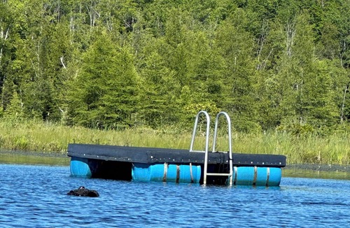 Lake Cabin | Cozy cabin in the woods on our own private lake with WiFi, AC. Perfect getaway
