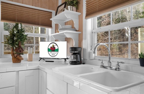Blue Eye Cabin | Creekside Cabin W/Pool Access & Private Hot Tub Near Thunder Ridge Sleeps 4