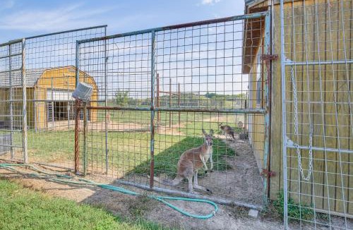 Michael House | Farm Stay in Illinois with Private Fishing Pond