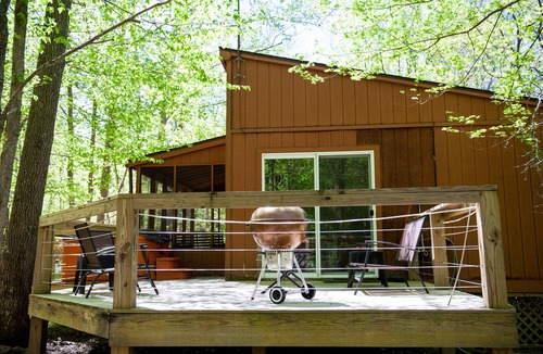 Cobden Cabin | Feels like your in a Tree House! On the Wine 🍷Trail! Private Location Hot Tub!