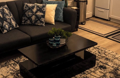 Brush Park Apartment | FREE Parking Walk to LCA, Ford Field & Tigers!