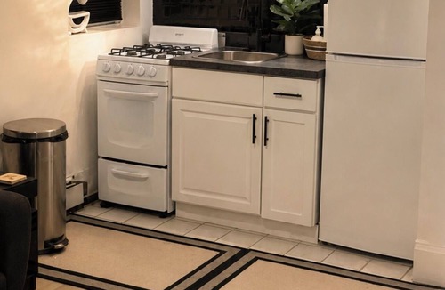 Brush Park Apartment | FREE Parking Walk to LCA, Ford Field & Tigers!