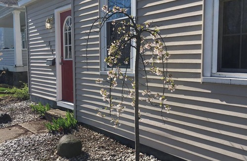Grand Haven House | Great for Families! Easy Walk to Downtown & Chinook Pier