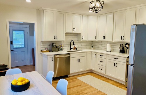 The Hill House | Heart of The Hill Family & Pet Favorite!WashU, SLU, Barnes, Forest Park, Yard