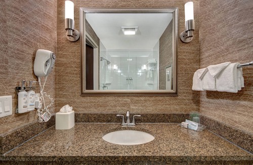 Romulus Hotel | Holiday Inn Detroit Metro Airport by IHG