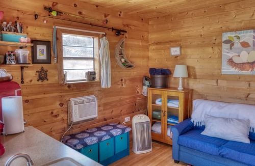 Goreville Cabin | Little Moon Lakefront Cabin with Dock & Firepit