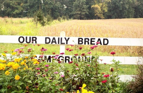 Marcellus Cabin | Memorial Day Weekend Getaway!