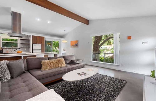 South River City House | Orange Crush | SoCo Mid-Century Pet Retreat