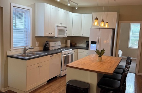 Lower West Side Apartment | Paradise Lounge 3bd apartment in Central Chicago with AC & Balcony