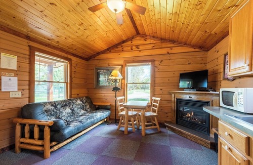 Mountain Cabin | Perfect for Couples, Pet Friendly, Bear Theme, Log Cabin, Fireplace
