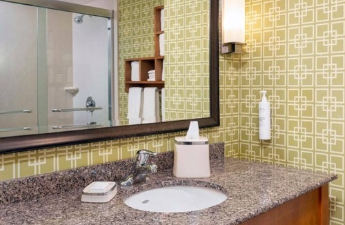 North Clayton Hotel | Pet-Friendly and Modern Room for Families Near St. Louis Zoo and Cultural Sites