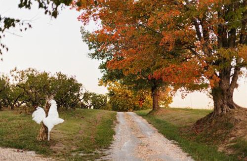 Alto Pass House | Rendelman Orchard's Farm Stay