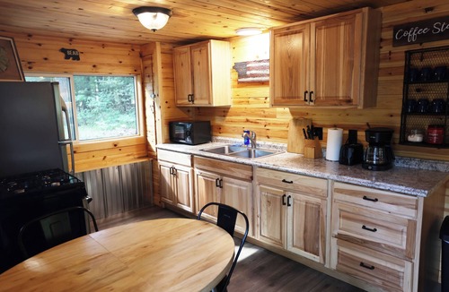 Wellston Cabin | Sand Lake Log Cabin- Pets OK, Starlink Wifi, Smart TV, AC, Grill, Firepit