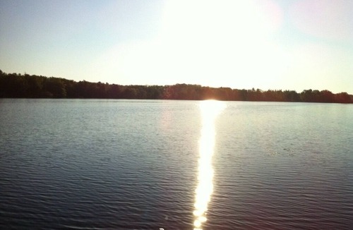 Douglas County Cabin | Skogsö Cottage on Dowling Lake-cozy lakefront cabin with private dock