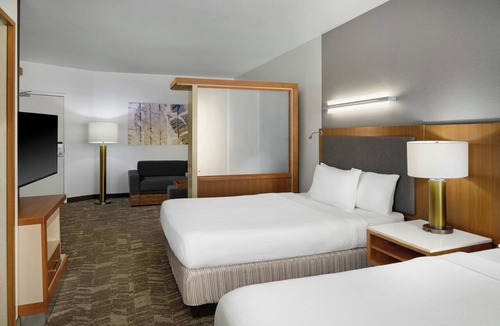 Romulus Hotel | SpringHill Suites by Marriott Detroit Metro Airport Romulus