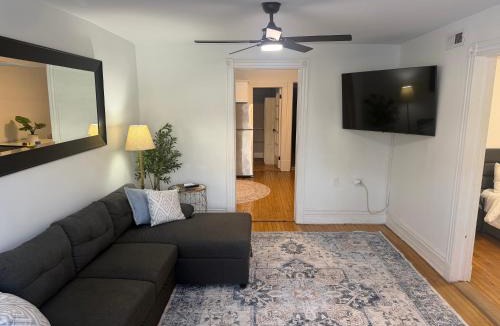 North Center Apartment | The Lyons' Lair
