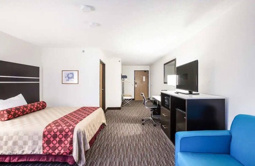 Charlotte Hotel | Your Ideal Base for Charlotte Frontier Days Near Bennett Park - 1.1 miles