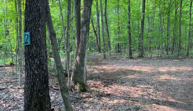 #3 Private Wooded Campsite for Tents or Small RV's