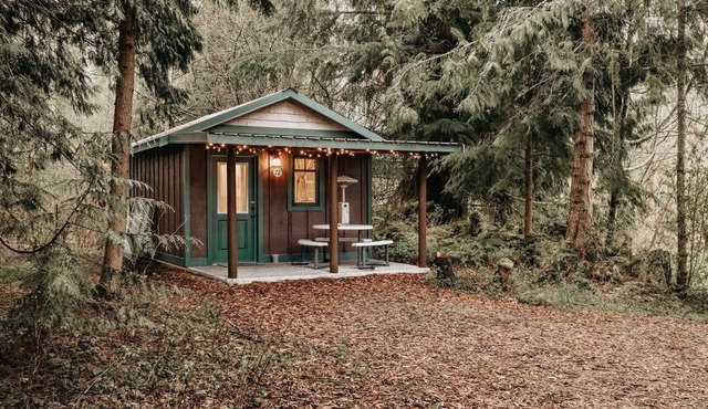 72MF - Rustic - Pets Ok - Sleeps 2 by RedAwning in Maple Falls