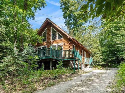 Alpine Cabin