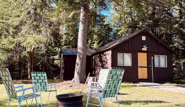 Birch at Hiawatha Cabins