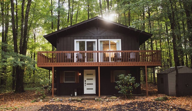 Black Diamond Chalet - Schuss Mtn/Shanty Creek Bellaire, MI
