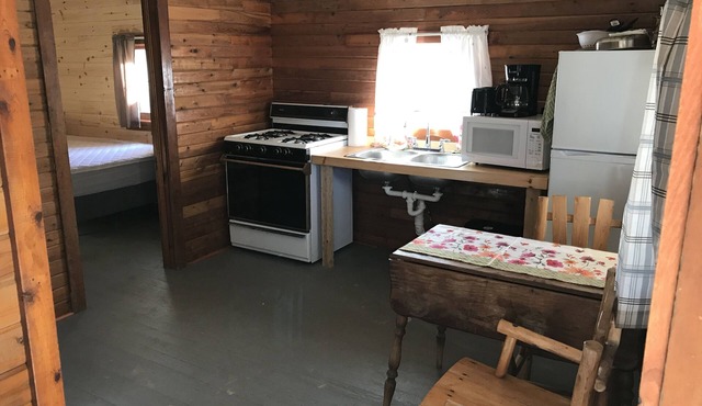 Cabin #2 Near Beautiful Brevort Lake