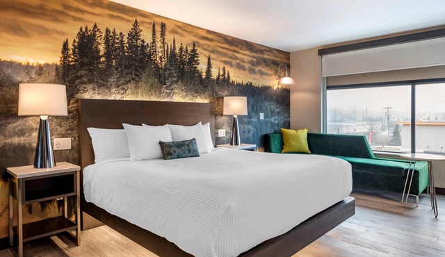 Cambria Hotel Shelby Township - Detroit Utica