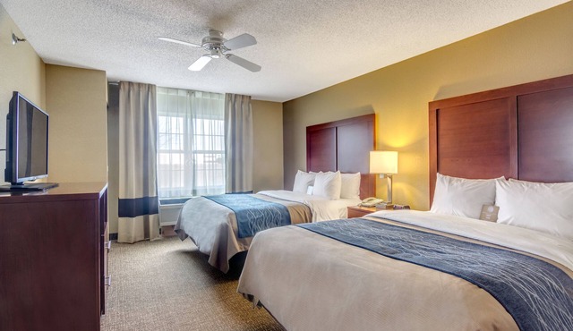 Comfort Inn & Suites Grafton - Cedarburg