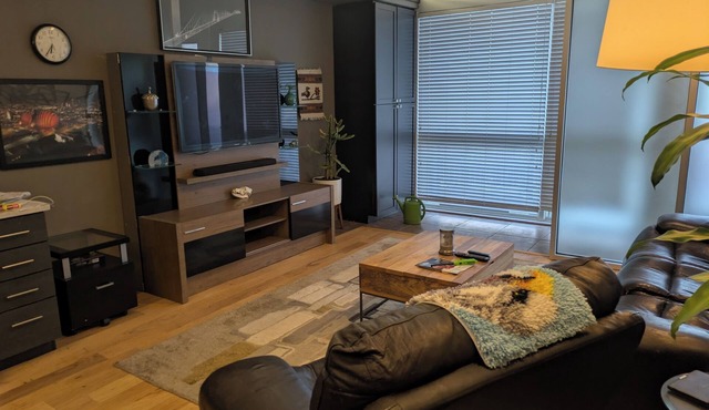 Cozy 1-bedroom condo in serene Kansas City with AC and gym