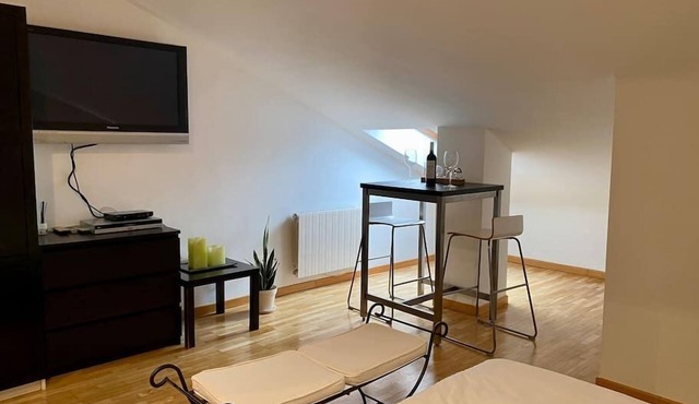Ebro River Duplex Penthouse in Haro
