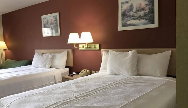 Experience Maximum Comfort! Pool, FREE Parking & Breakfast! in Cabot