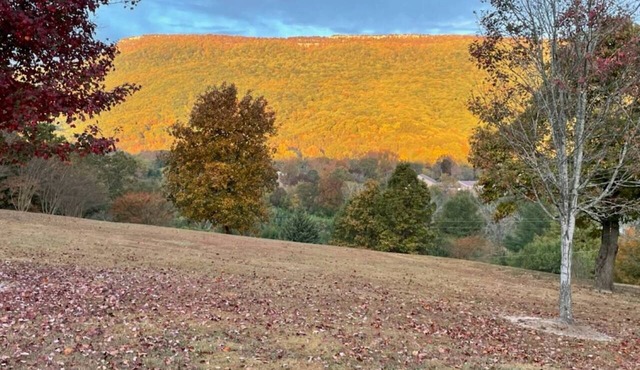 Free Ruby Falls Ticket & More -Large 4BR/3BA-3 acres- Cloudland Canyon, Chattanooga-Lookout Mountain in Chickamauga