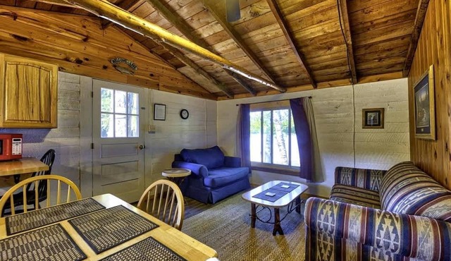 Lakefront Pet-Friendly Cabin w/Fire Pit