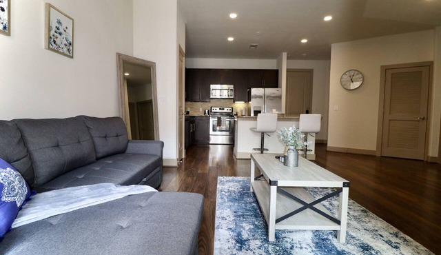 Luxury King Suite/Pool/SkyLounge in Houston