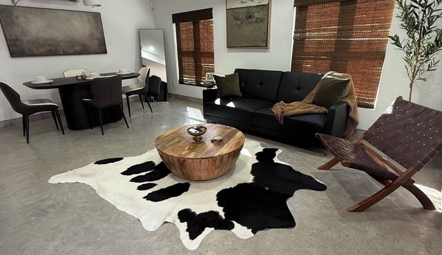 Modern Sleek Tiny house in Brownsville