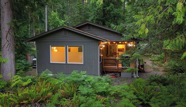 Mt Baker Forest Cabin Hot Tub Fireplace in Deming