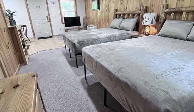 Open Floor Plan Two Queen Bedroom in Manistee National Forest #3