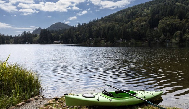 Paddle, Sauna, Relax—Lakefront! in Sedro-Woolley